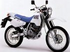 1992 Suzuki DR 250 Djebel